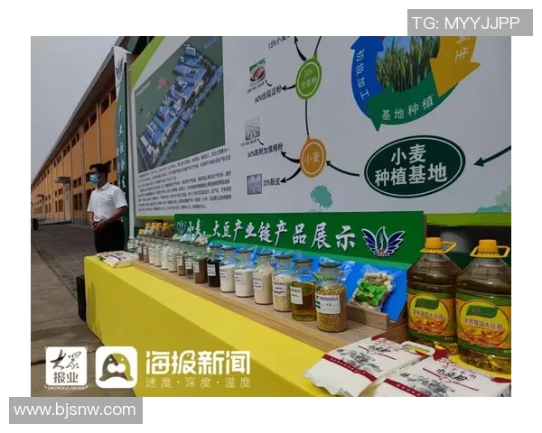 重磅专题：V5的转换革新