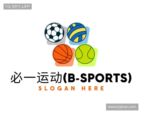 了解必一运动(B-Sports)